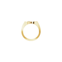 LOVE Diamond Ring (14K) setting - Popular Jewelry - New York