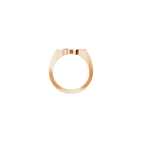 LOVE Diamond Ring (Rose 14K) setting - Popular Jewelry - New York