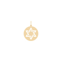 Star of David Cut-Out Round Pendant