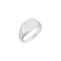 Diamond Embedded Square Signet Ring (14K)