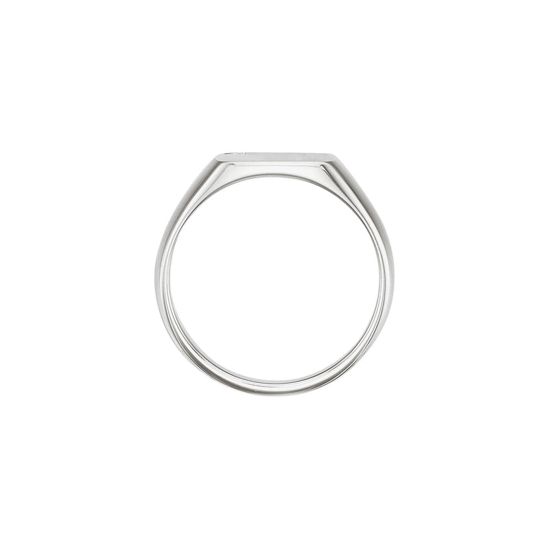 Diamond Embedded Square Signet Ring (14K)