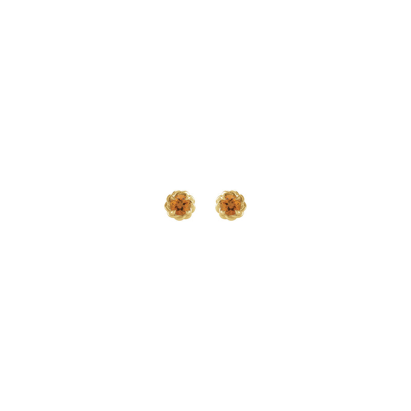 Citrine Claw Rope Stud Earrings