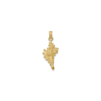 3D Conic Conch Shell Pendant (14K)