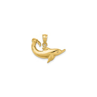 Cutesy Dolphin Pendant (14K)