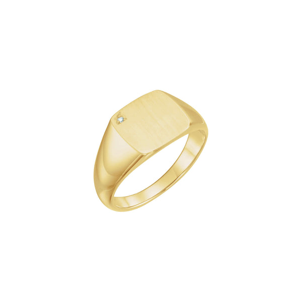 Diamond Embedded Square Signet Ring (14K)