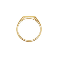 Diamond Embedded Square Signet Ring (14K)