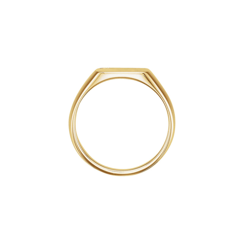 Diamond Embedded Square Signet Ring (14K)