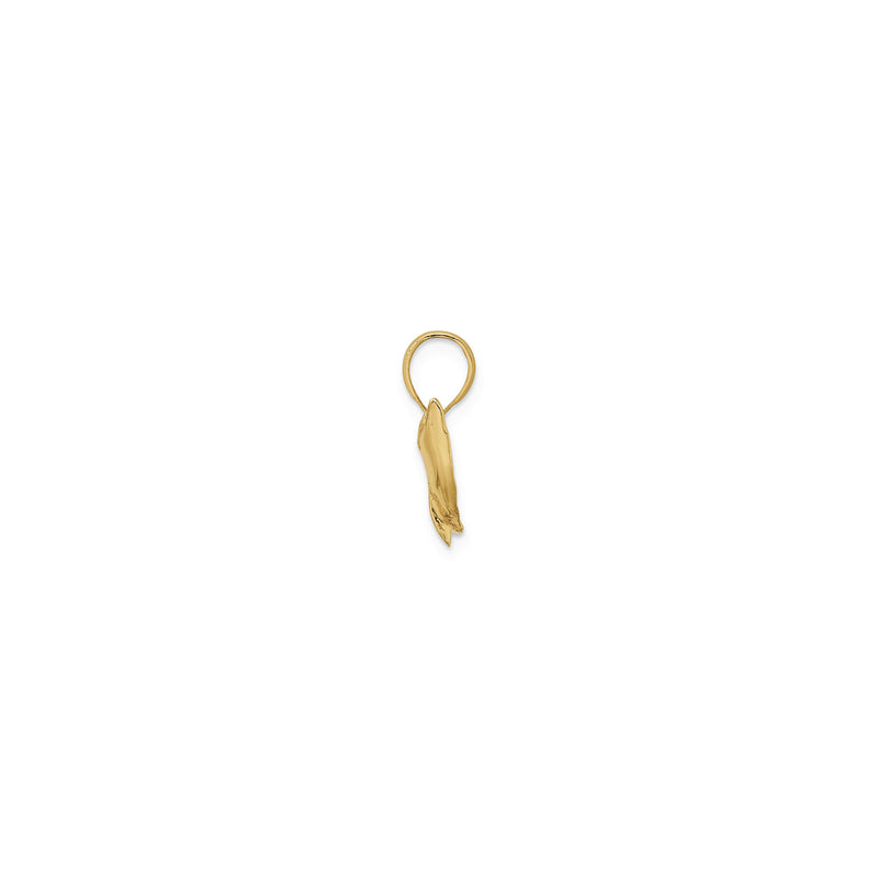 Jumping Dolphin Pendant (14K)