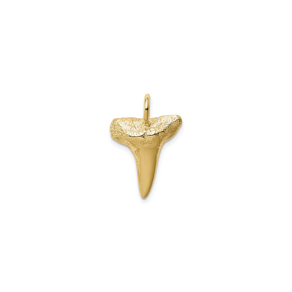 Shark Tooth Pendant (14K)