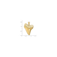 Solid 3D Shark Tooth Pendant (14K)