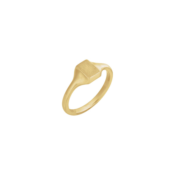 Vertical Rectangle Signet Ring