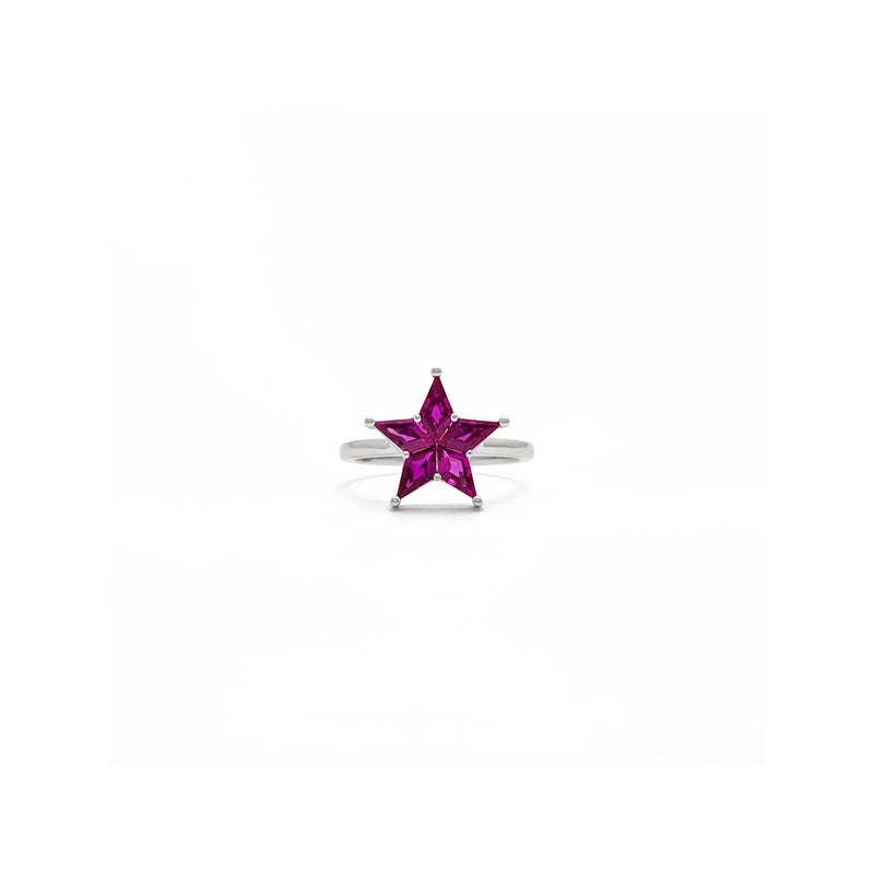 Cosmic Ruby Star Ring (18K)