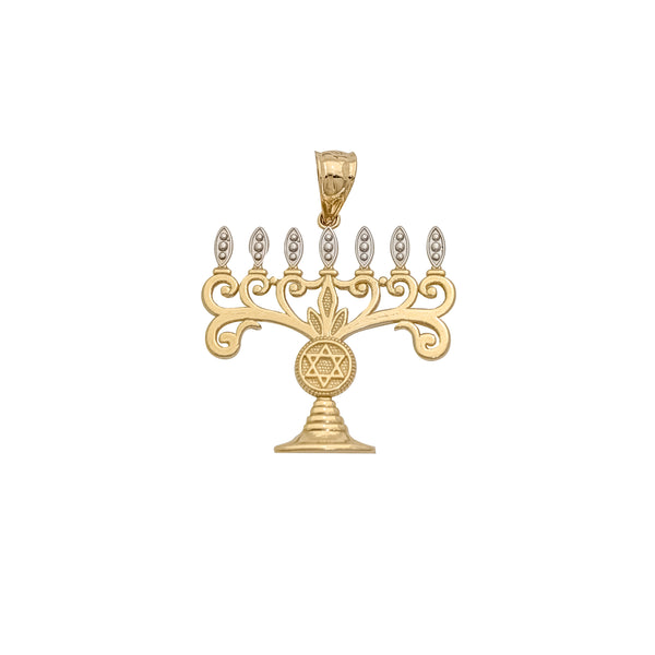 Jewish Menorah & Star Of David Pendant (14K)