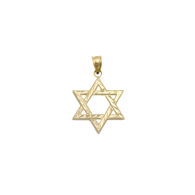 Star of David Diamond-Cut Pendant (14K)