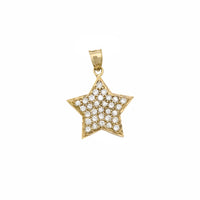 Diamond Cut Star CZ Pendant (10K)