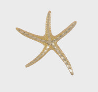 Long Legged Starfish Slide Pendant (14K)