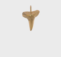 Shark Tooth Pendant (14K)