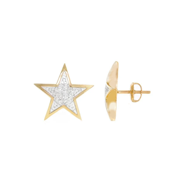 Diamond  Concave Star Screw Earring (14K)