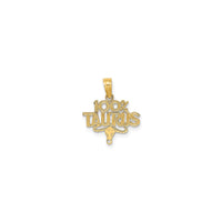 100% Taurus Pendant (14K)