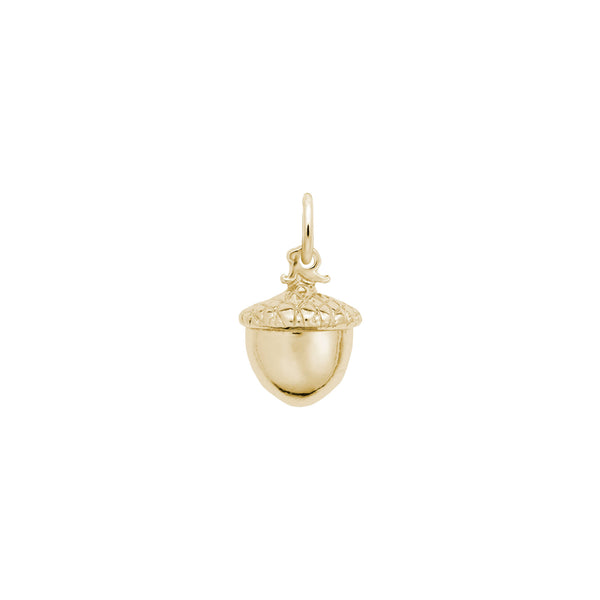 Acorn Charm yellow (14K) main - Popular Jewelry - New York