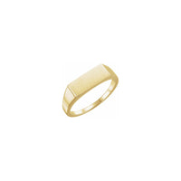 Brush Finish Slim Rectangle Signet Ring yellow (14K) main - Popular Jewelry - New York