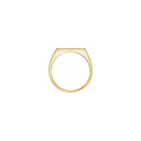 Brush Finish Slim Rectangle Signet Ring yellow (14K) setting - Popular Jewelry - New York