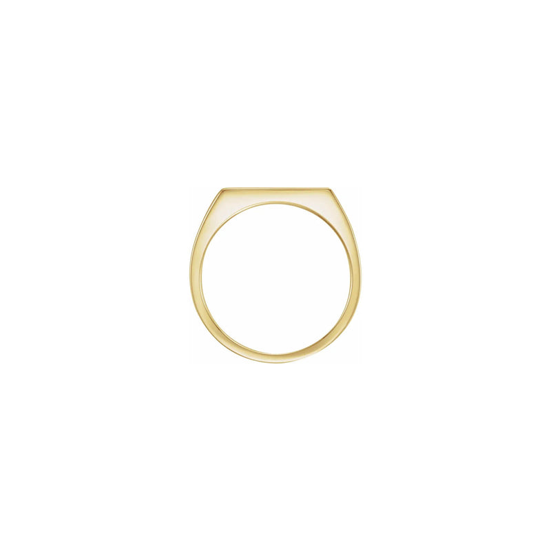 Brush Finish Slim Rectangle Signet Ring yellow (14K) setting - Popular Jewelry - New York