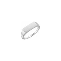 Brush Finish Slim Rectangle Signet Ring white (14K) main - Popular Jewelry - New York