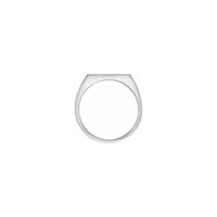 Brush Finish Slim Rectangle Signet Ring white (14K) setting - Popular Jewelry - New York