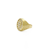 Icy Dollar Sign Signet Ring (14K)