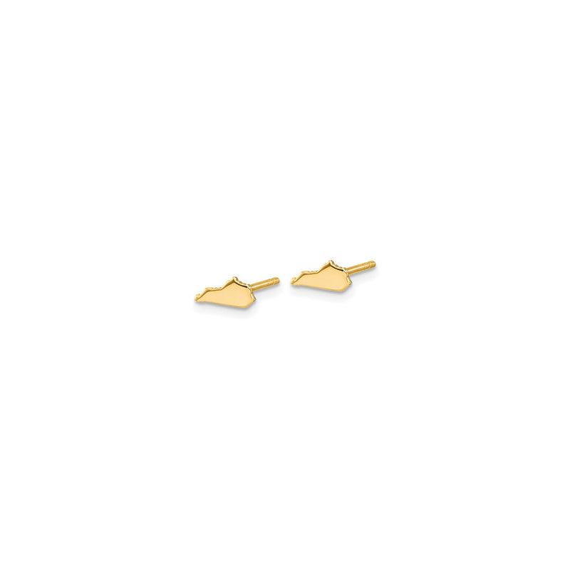 Kentucky State Earrings