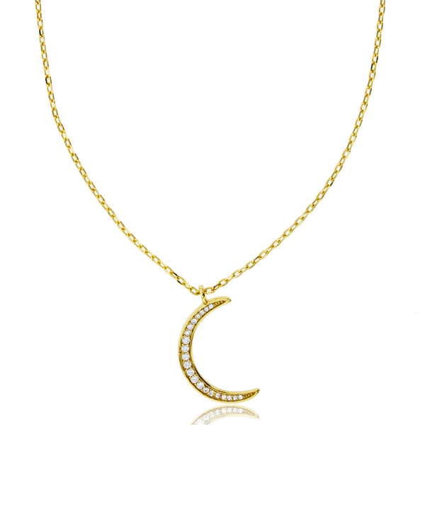 Crescent Moon Fancy Necklace (Silver)