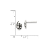 Antique-Finish Seashell Stud Earrings (Silver)