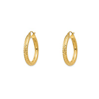 Glossy Faceted Hoops Earrings (14K)