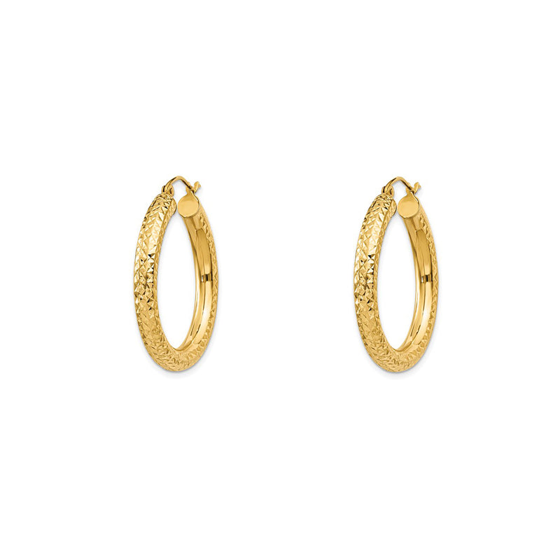 Glossy Faceted Hoops Earrings (14K)