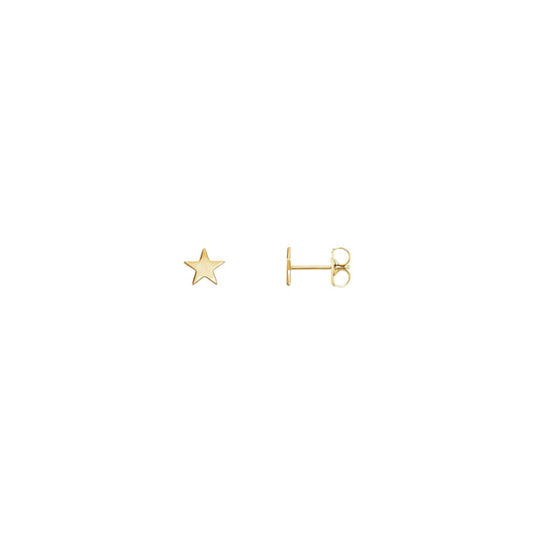 Star Stud Earrings