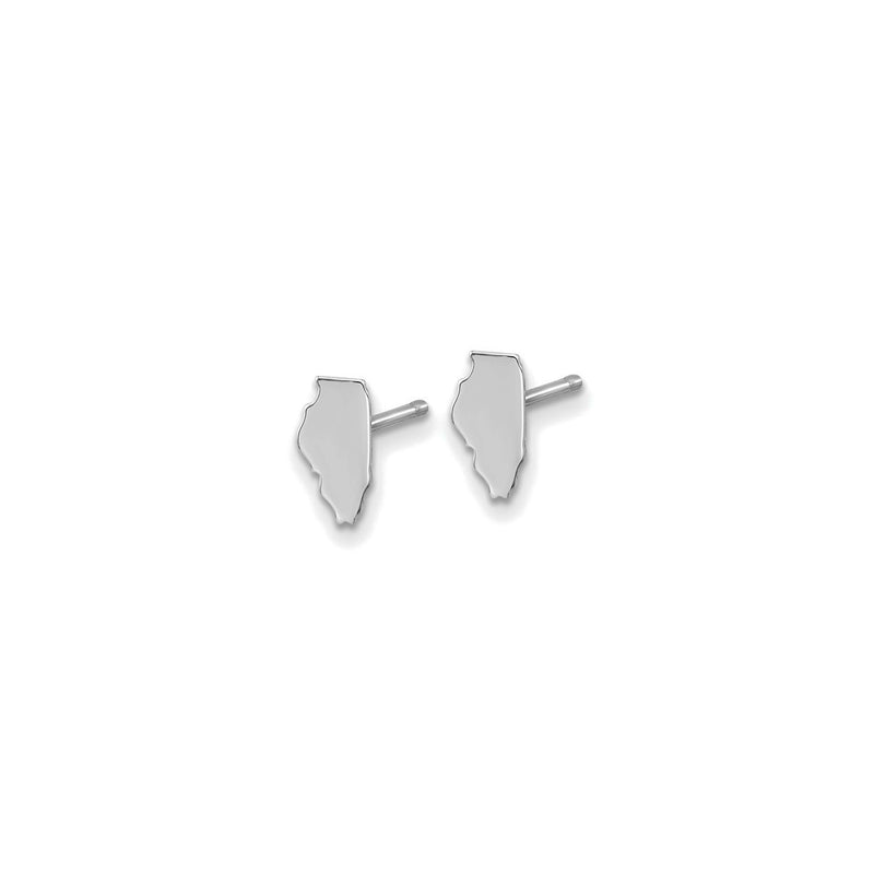 Illinois State Earrings