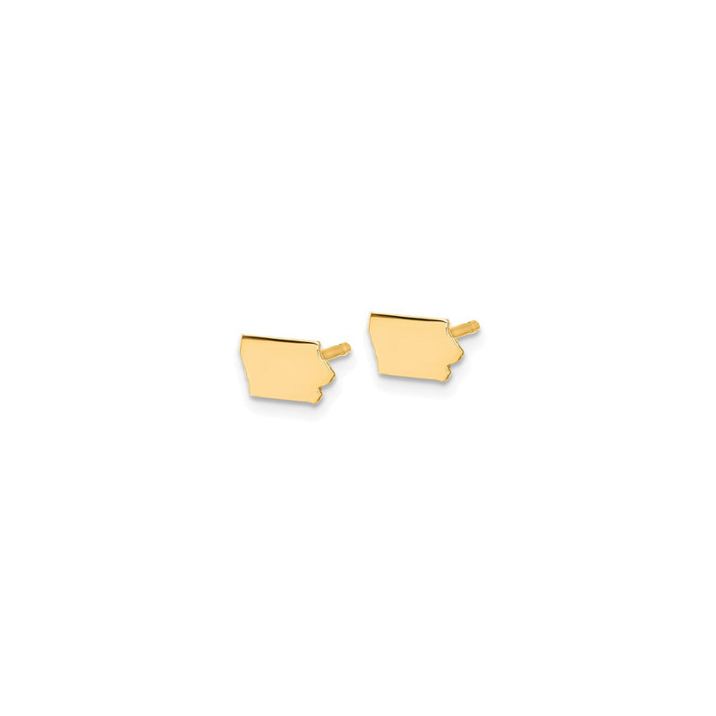 Iowa State Earrings