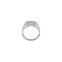 White Diamond Celestial Signet Ring (Silver) setting - Popular Jewelry - New York